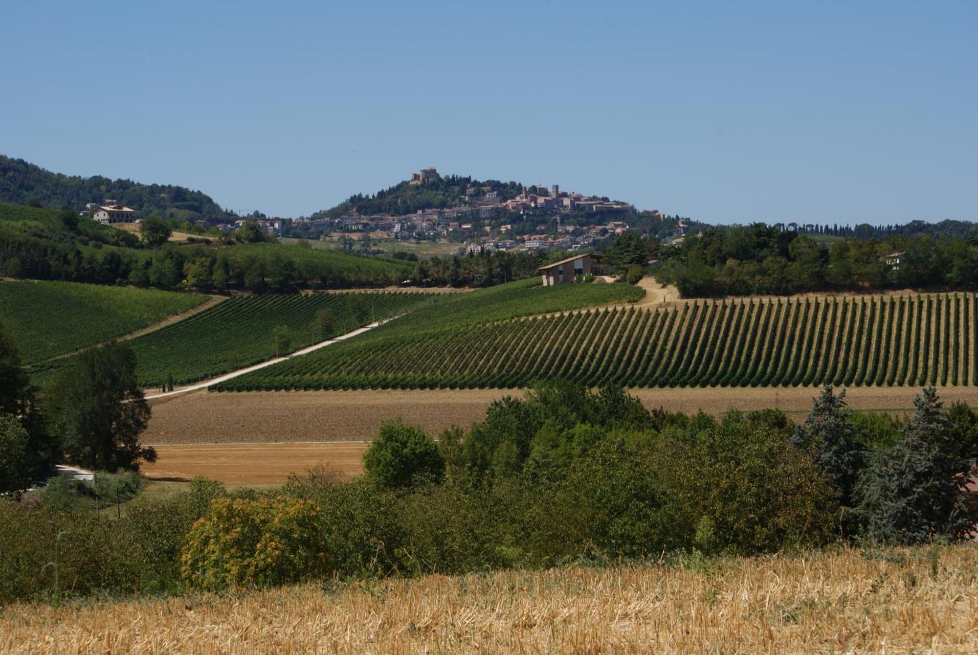Agriturismo Al Colle Бертиноро Экстерьер фото