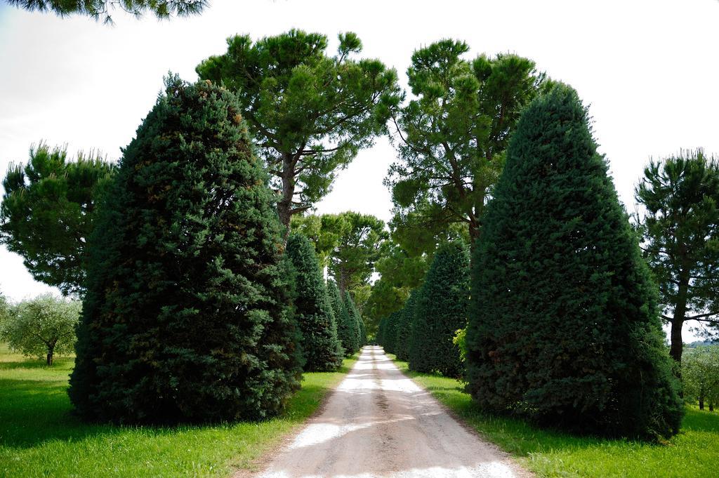 Agriturismo Al Colle Бертиноро Экстерьер фото
